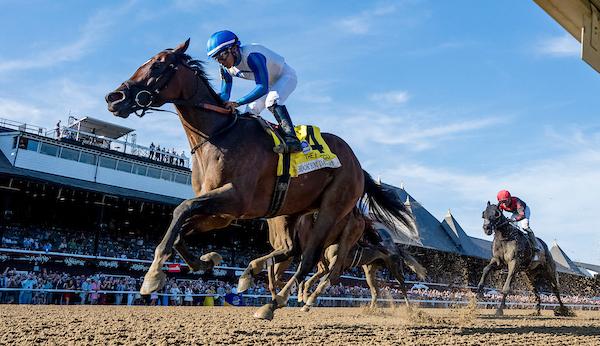 Book'em Danno, Forego Stakes, Saratoga Race Course, America's Best Racing, horse racing, ABR